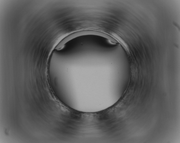 X0000091200956200709061411