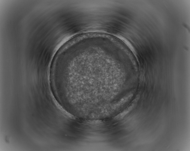 X0000091200957200709061411