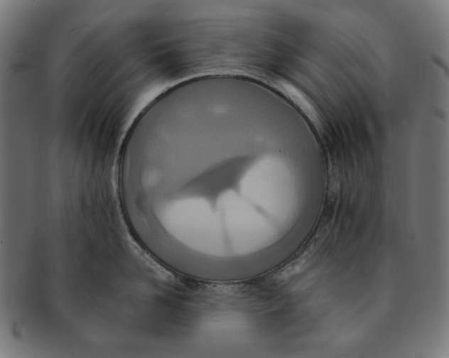 X0000091200958200709061411
