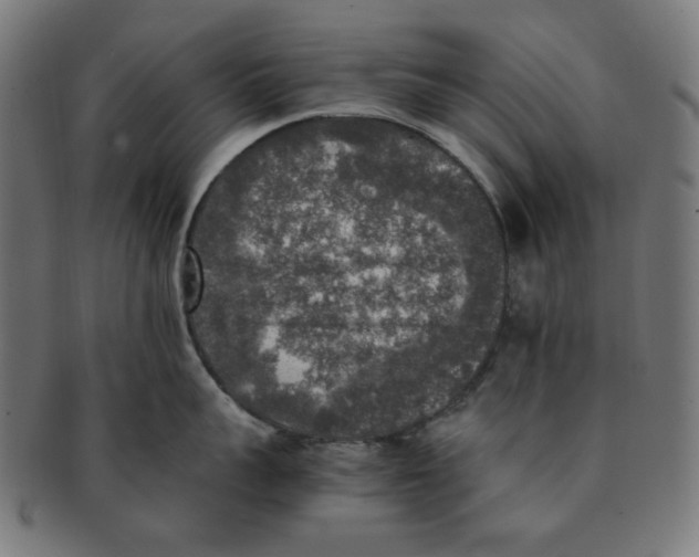 X0000091200959200709061411