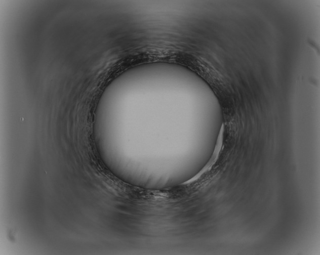 X0000091200961200709061410
