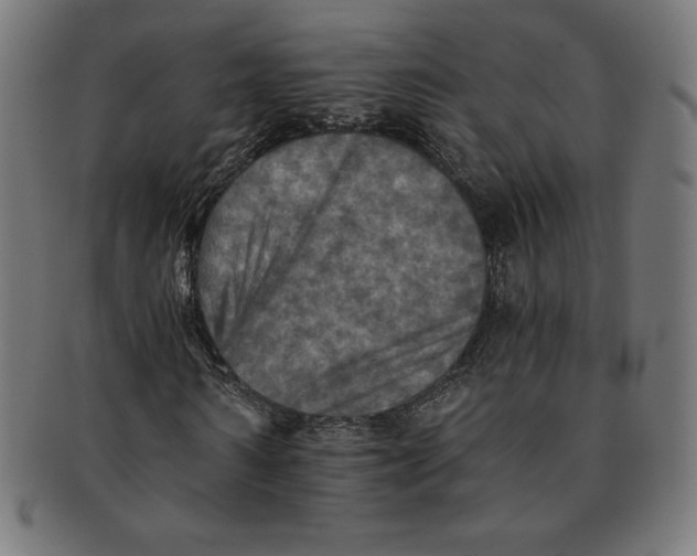 X0000091200962200709061410