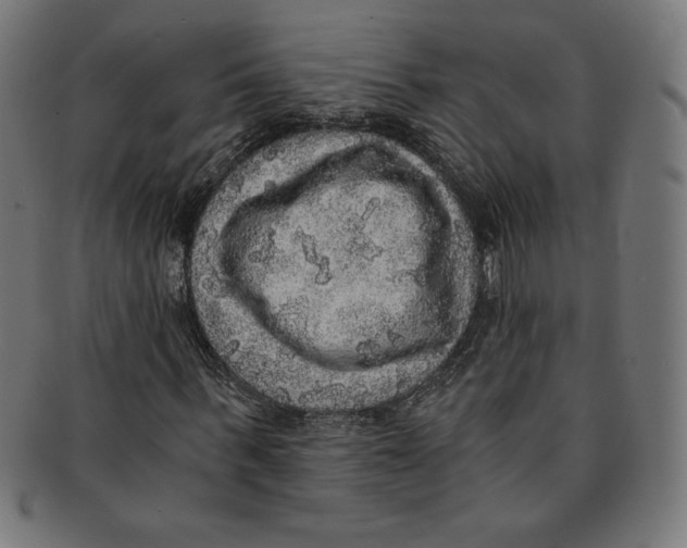 X0000091200963200709061410