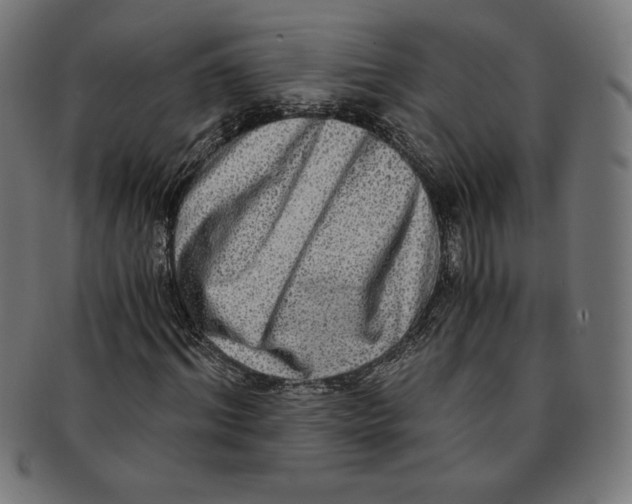 X0000091200964200709061410