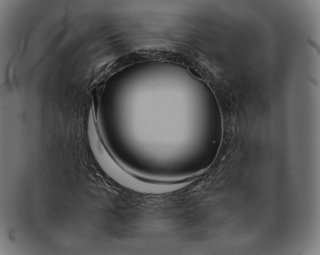 X0000091200965200709061410