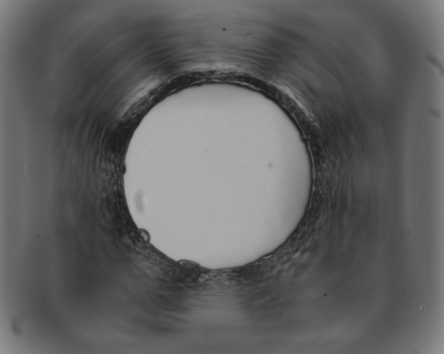 X0000091200967200709061410