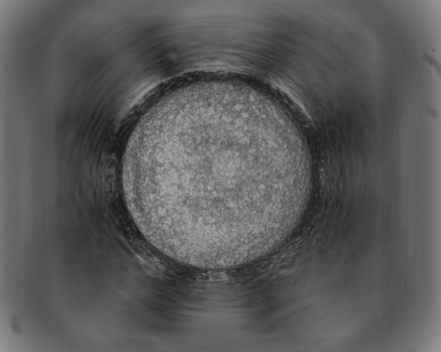 X0000091200968200709061410