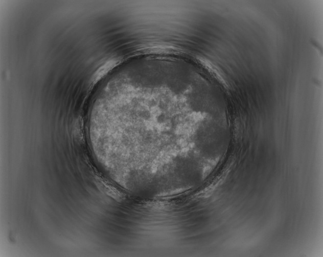 X0000091200970200709061410