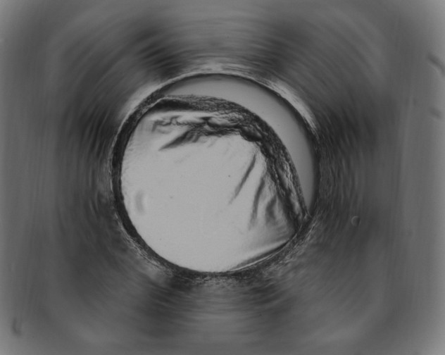 X0000091200972200709061410