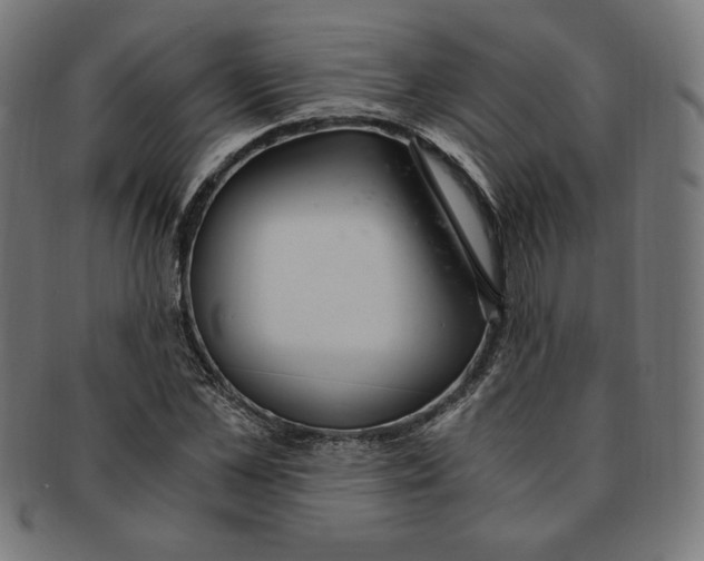 X0000091200973200709061410
