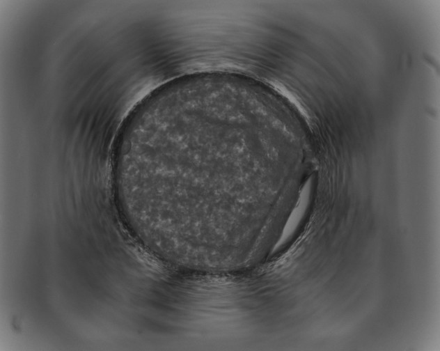 X0000091200975200709061410