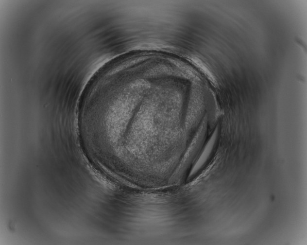 X0000091200976200709061410