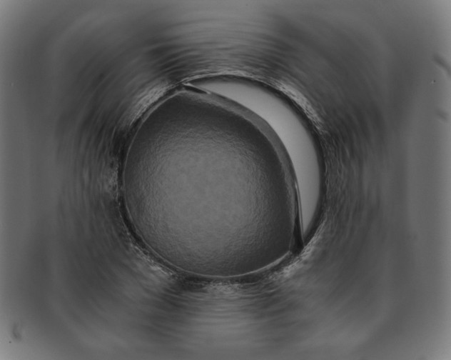 X0000091200977200709061410