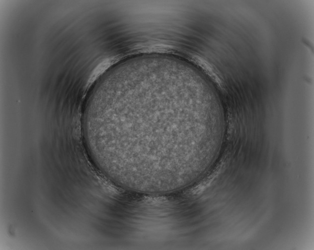 X0000091200978200709061410