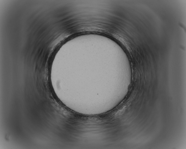 X0000091200979200709061410
