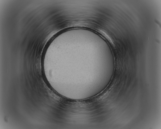 X0000091200980200709061410