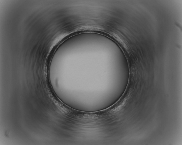 X0000091200981200709061410