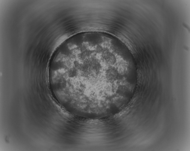 X0000091200982200709061410