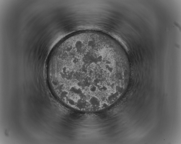 X0000091200983200709061410