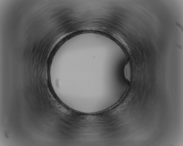 X0000091200984200709061410