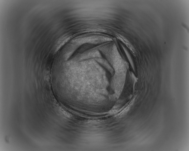 X0000091200985200709061410