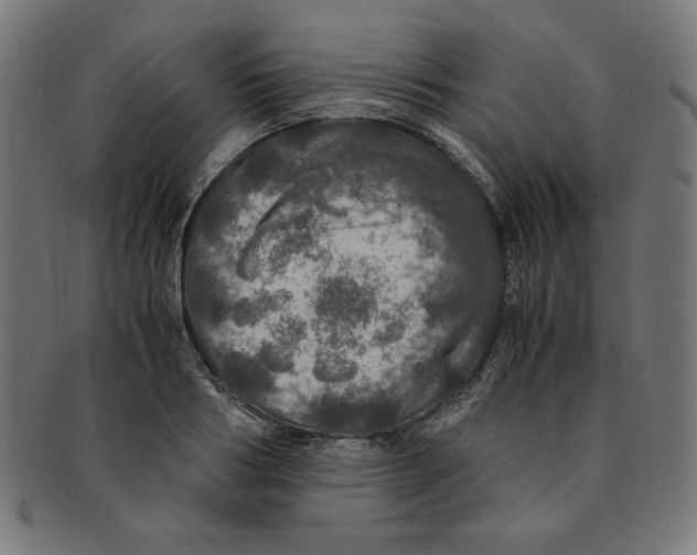 X0000091200986200709061410
