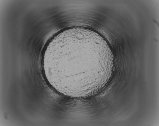 X0000091200987200709061410