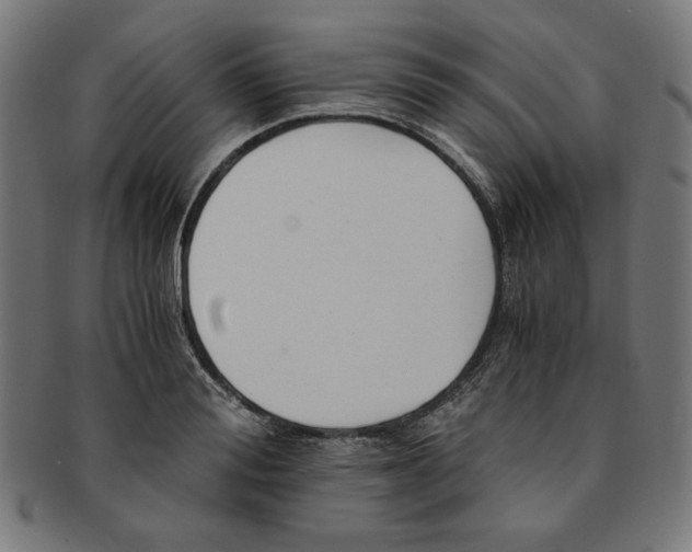 X0000091200988200709061410