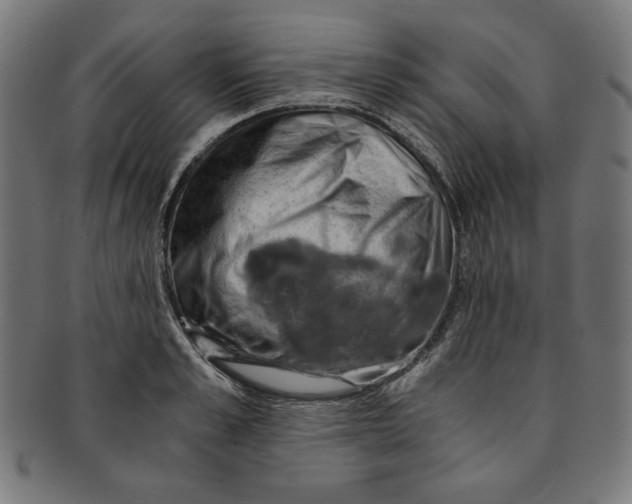 X0000091200989200709061410