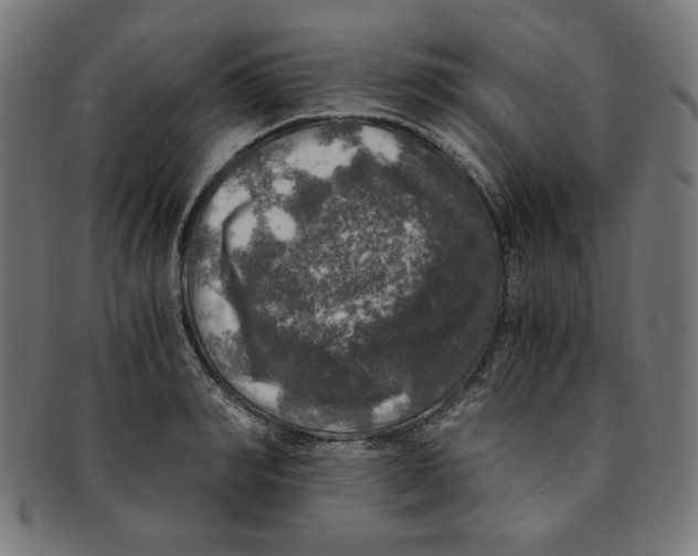 X0000091200990200709061410