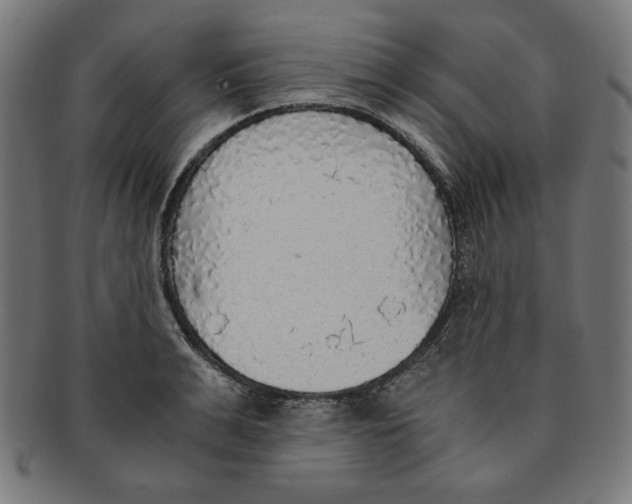 X0000091200991200709061410