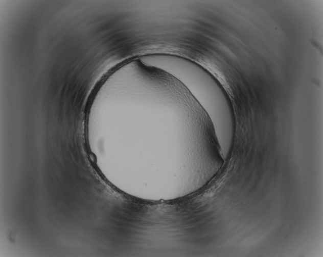 X0000091200992200709061410