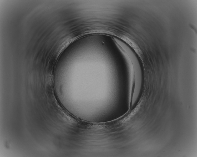 X0000091200993200709061410