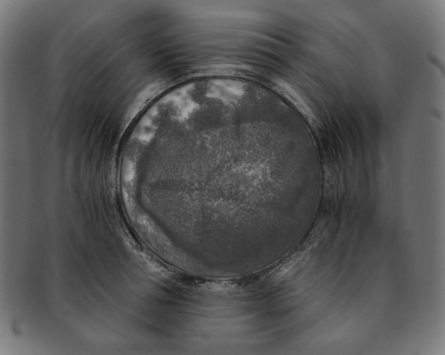 X0000091200994200709061410