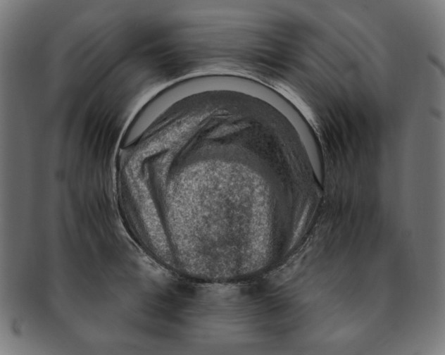 X0000091200996200709061410