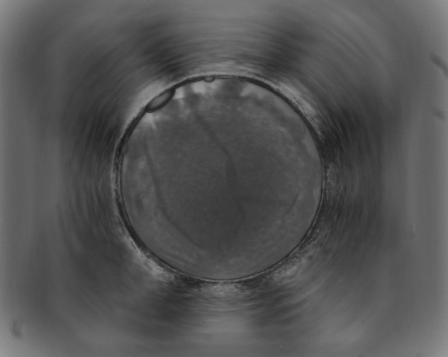 X0000091200998200709061410