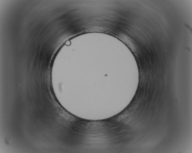 X0000091201000200709061410