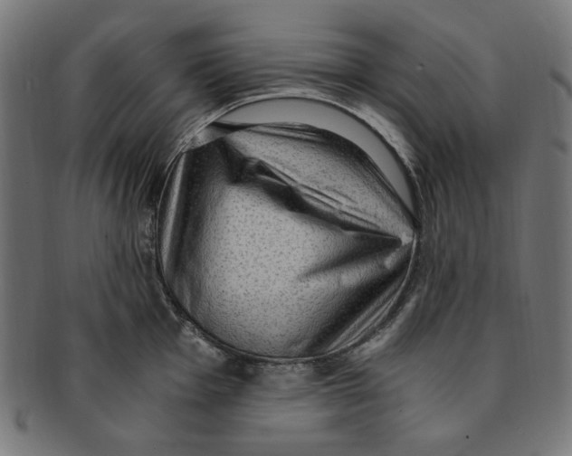X0000091201001200709061410