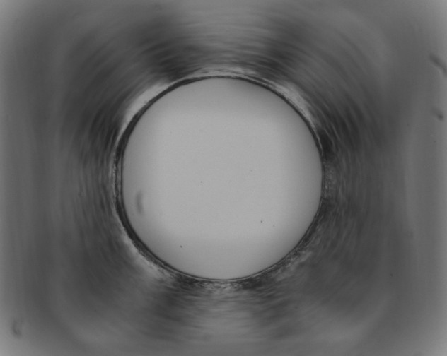 X0000091201003200709061410