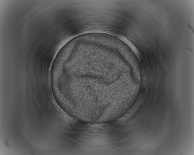 X0000091201004200709061409