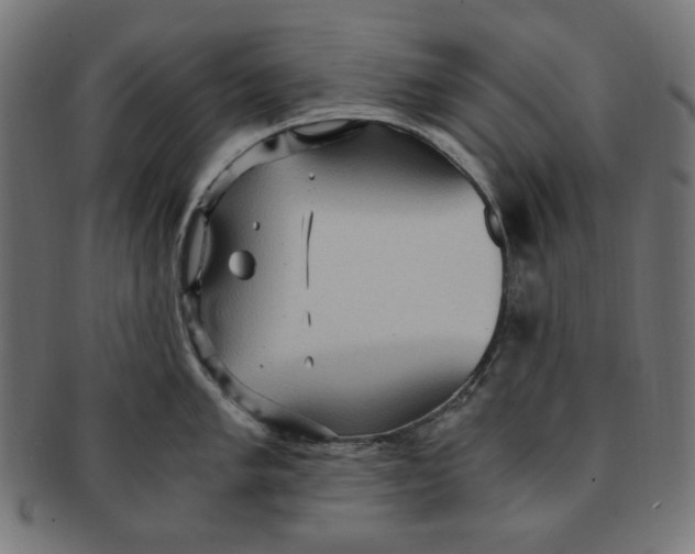 X0000091201005200709061409