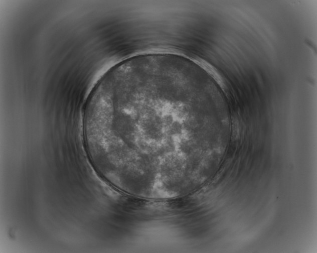 X0000091201006200709061409