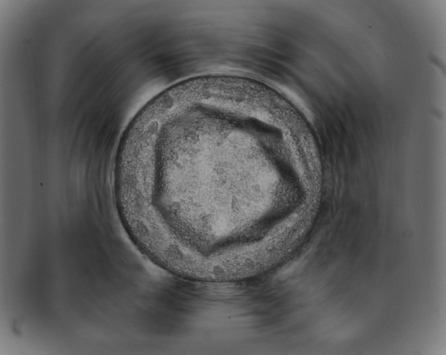 X0000091201007200709061409