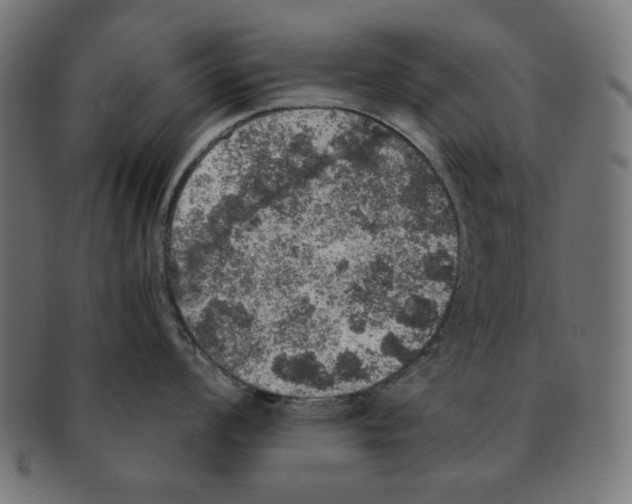 X0000091201008200709061409
