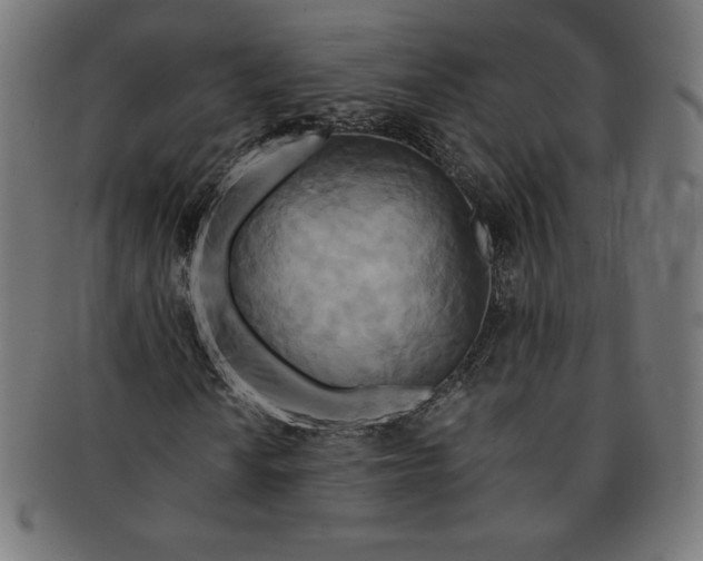 X0000091201010200709061409