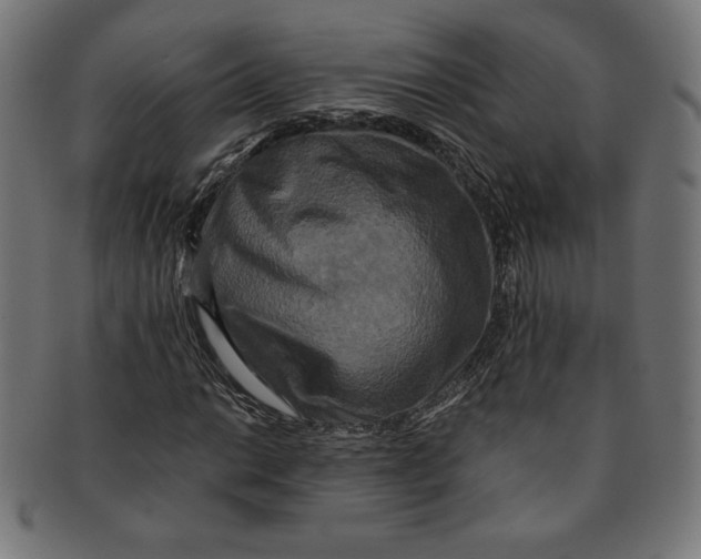 X0000091201014200709061409