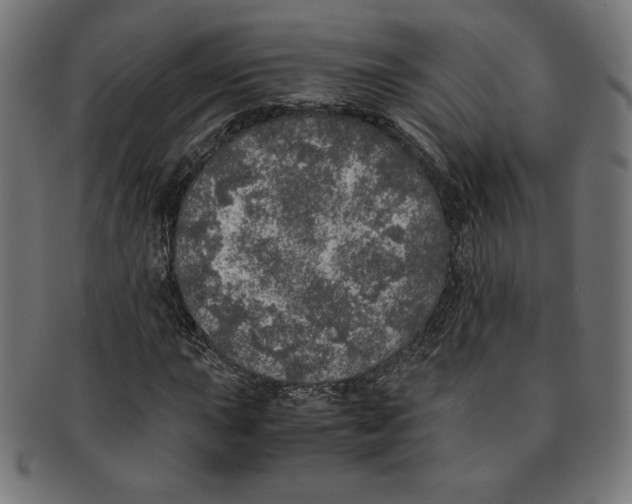 X0000091201015200709061409