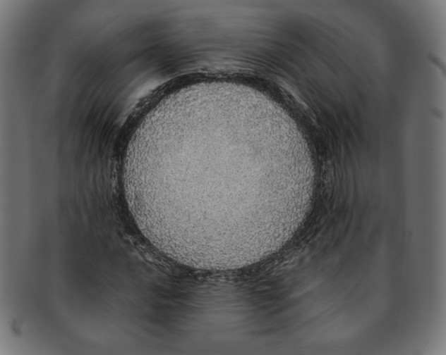 X0000091201016200709061409
