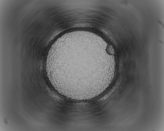 X0000091201017200709061409