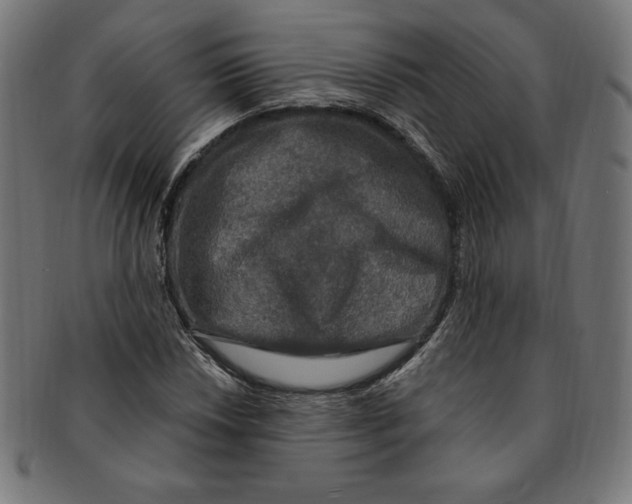 X0000091201018200709061409